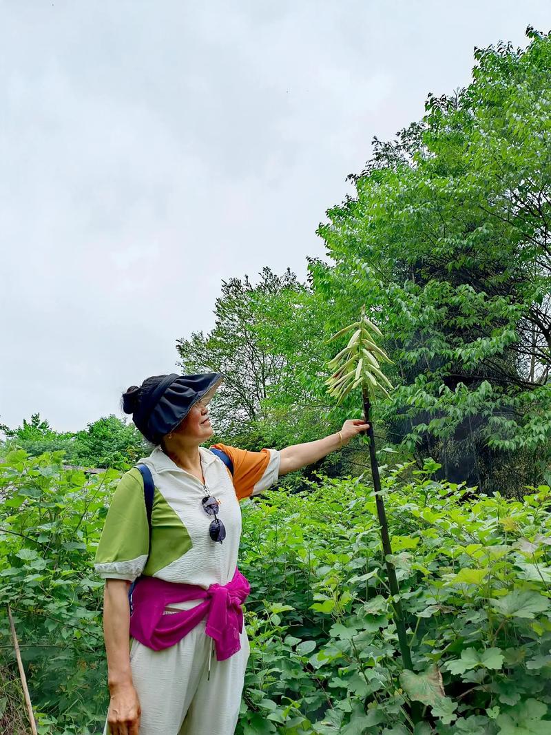 成都大邑个人信用贷款新政策(成都大邑县贷款)